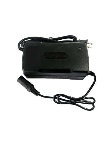 Cargador 24V 4AH BIG MOTION Cargador de 24v (voltios) 4 Ah (amperios) tipo micrófono para silla de ruedas eléctrica y scooter.
