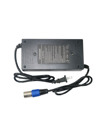 Cargador 24 V 5 Ah a Micrófono BIG MOTION Cargador de 24v (voltios) 5 Ah (amperios) tipo micrófono para silla de ruedas eléctric